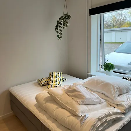 Hostel Mini 2 *